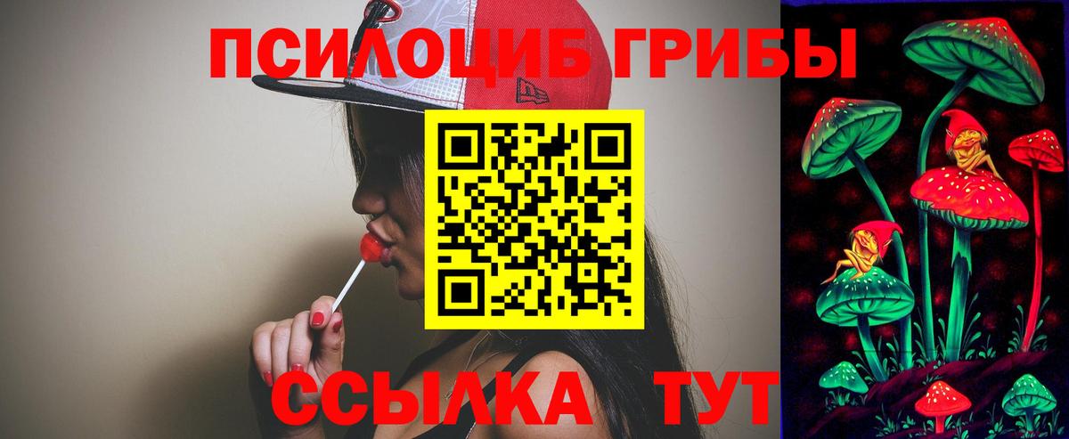 Галлюциногенные грибы MAGIC MUSHROOMS Муром