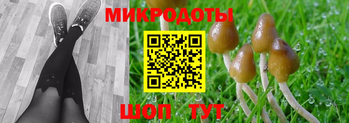 Псилоцибиновые грибы прущие грибы  Вход с VPN  Муром  Псилоцибиновые грибы Psilocybe 